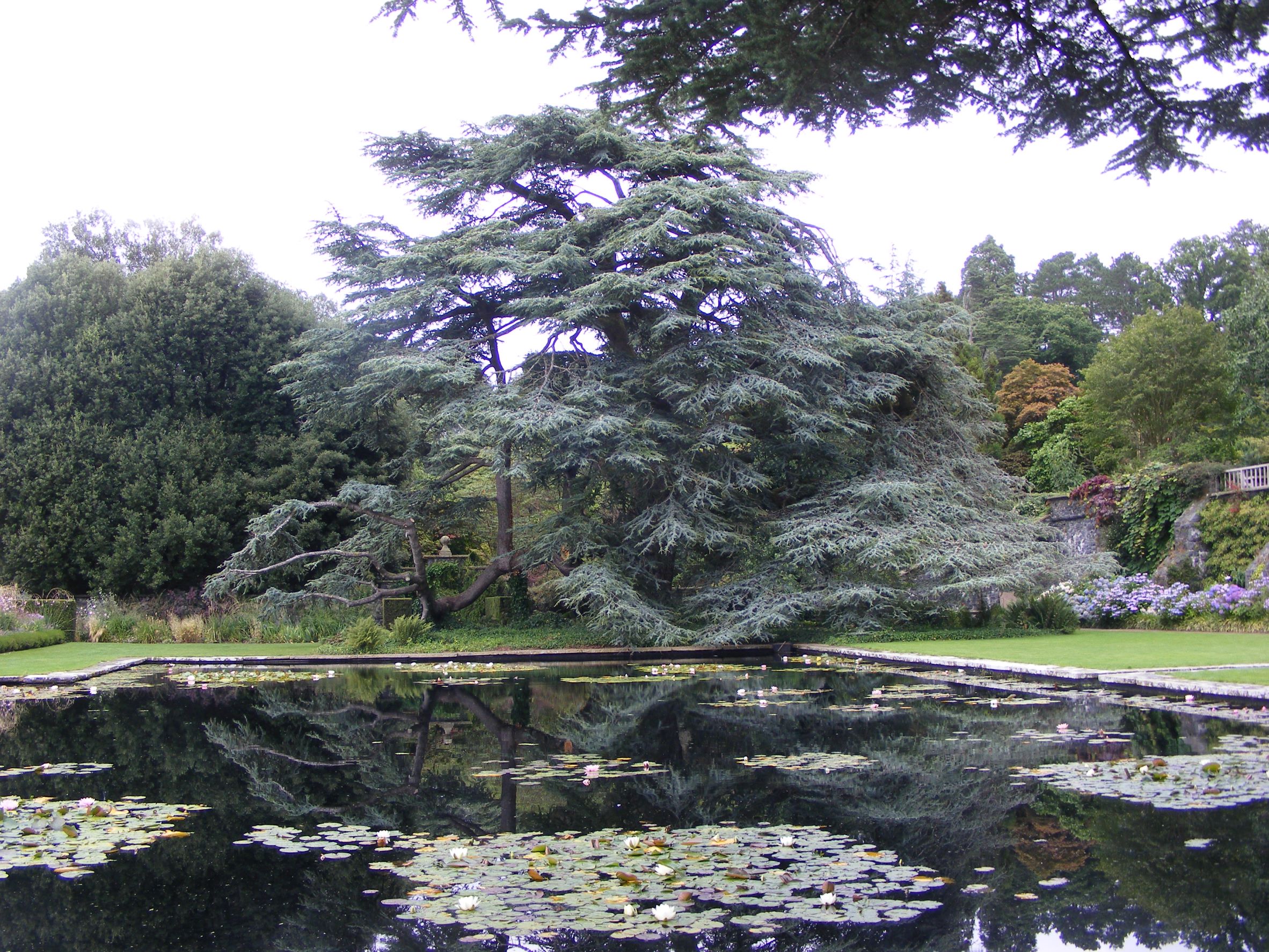 Zeder England Blog.jpg